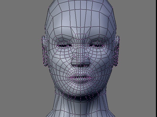 Human Face: Which mesh to use? - Modeling - Blender Artists Community