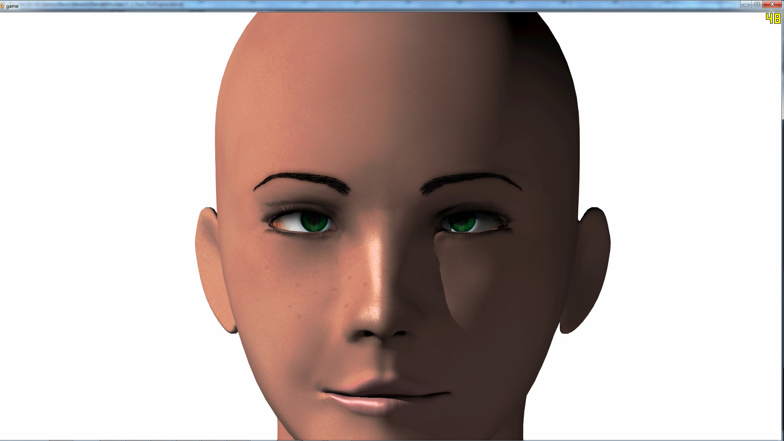 human face template