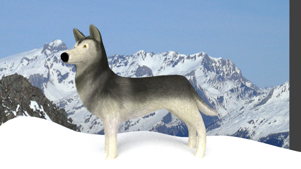 Realistic Wolf (Blender Cycles) - Works in Progress - Blender Artists  Community