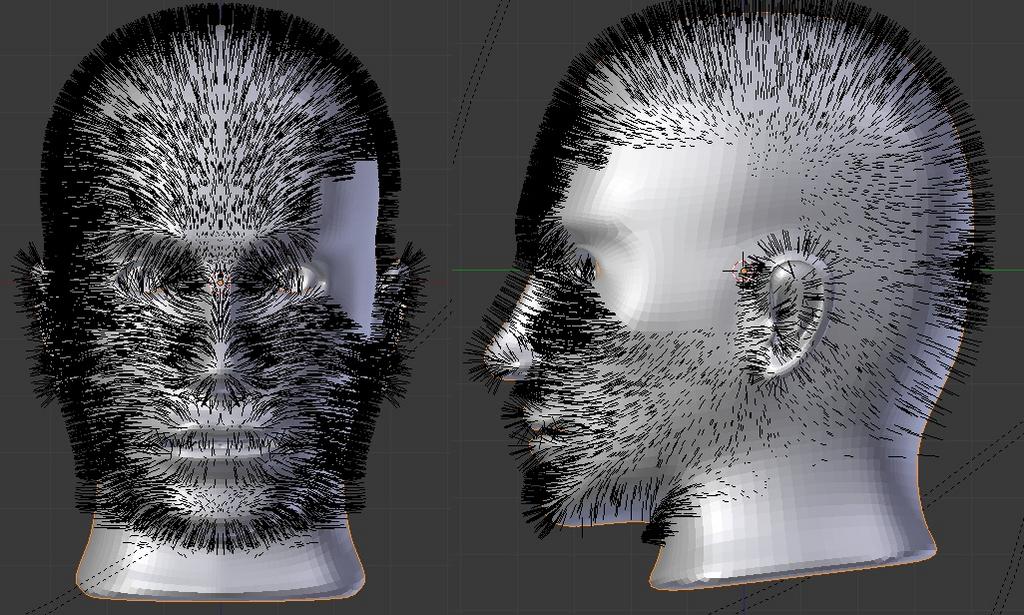 Some hairs not mirroring - Particles and Physics Simulations - Blender ...