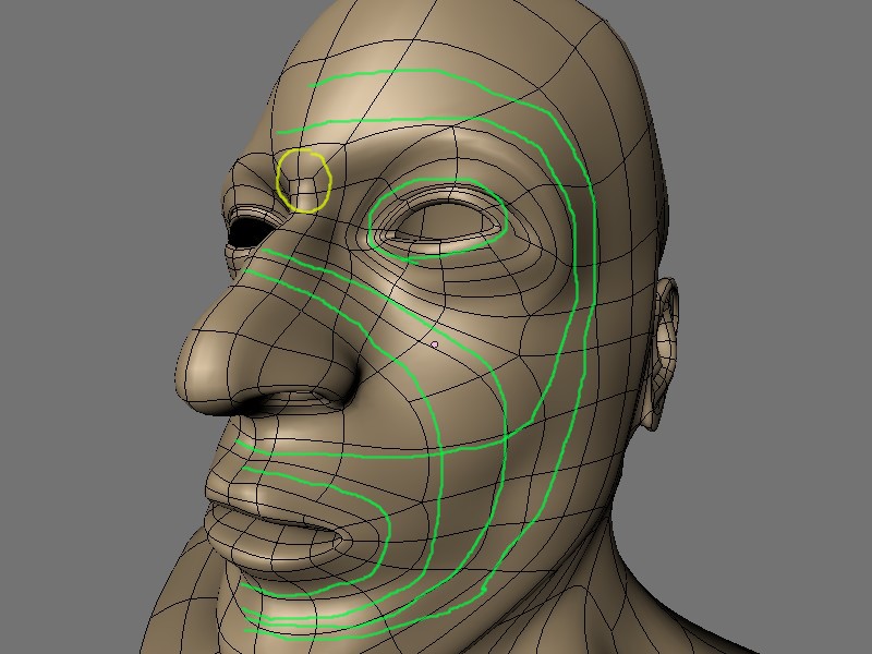 Male head model topology problems - Modeling - Blender Artists Community