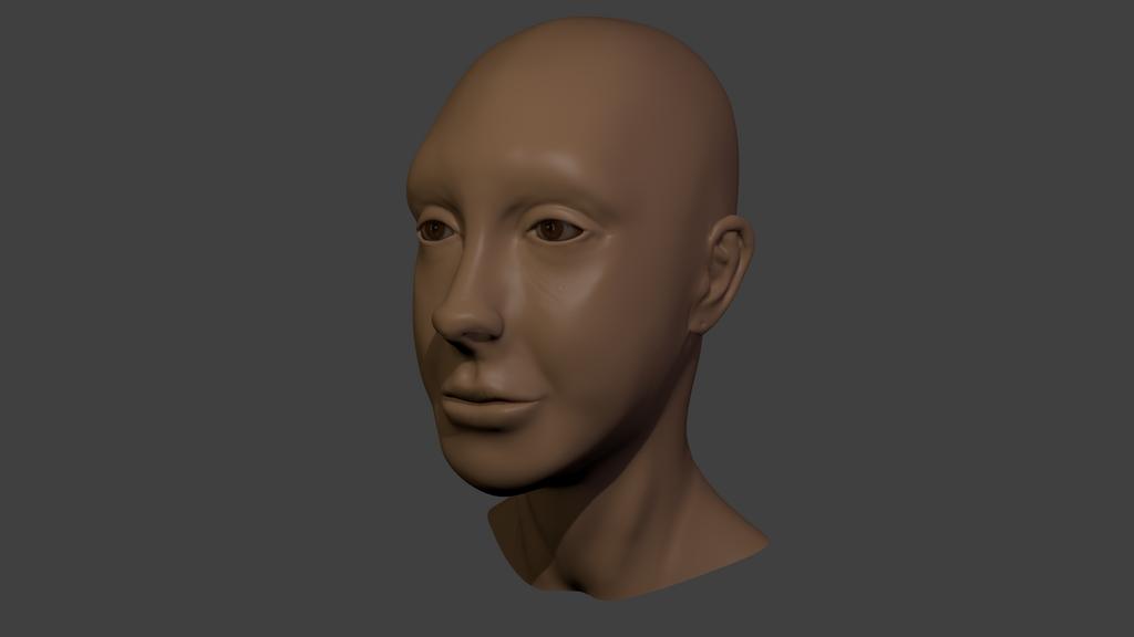 Modeling a female head following Blender Cookie's tutorial - Works in ...