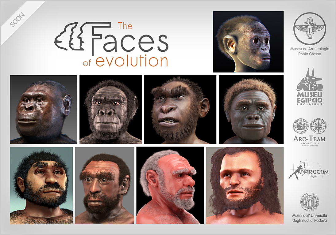 The Faces Of Evolution Exhibition Of Hominids Forensic Facial Reconstructions Latest News 