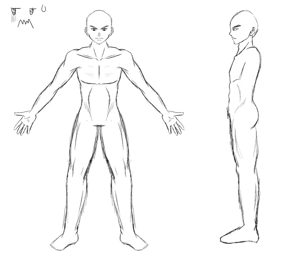 Male Reference Sheet Anatomy - Traditional - Blender Artists Community