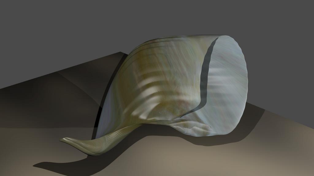 sea shell - Works in Progress - Blender Artists Community