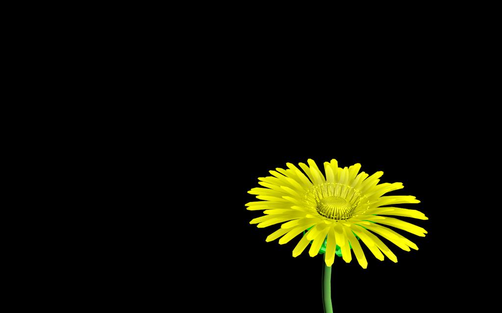 Flowers - Works in Progress - Blender Artists Community