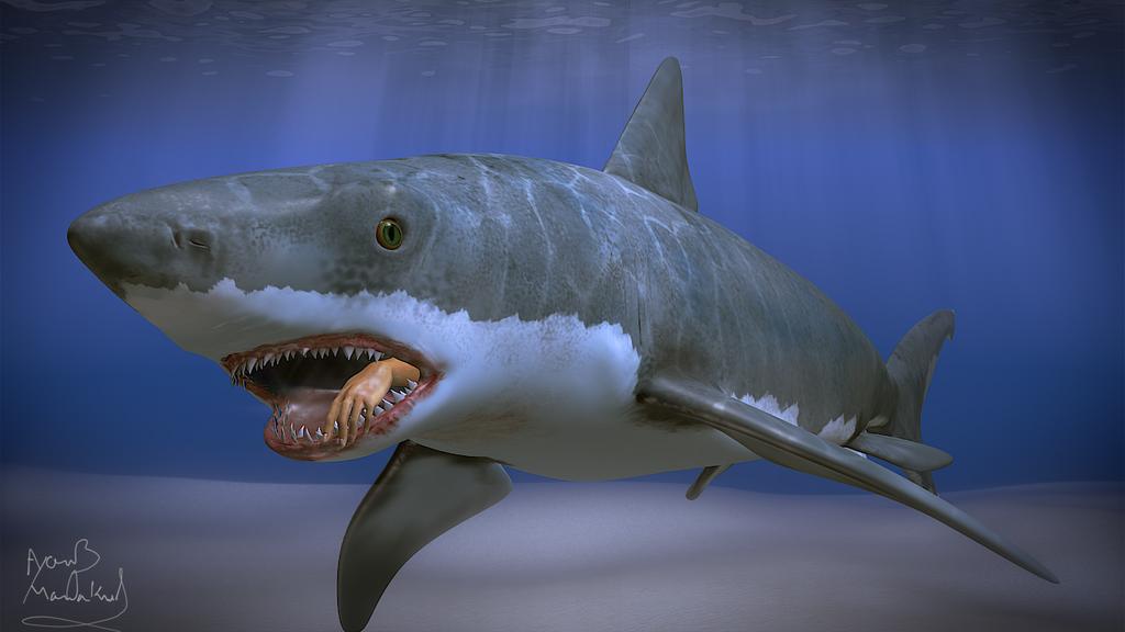 Great White Shark - Modeling - Blender Artists Community