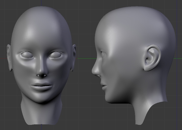 Female Head - critique? - Focused Critiques - Blender Artists Community