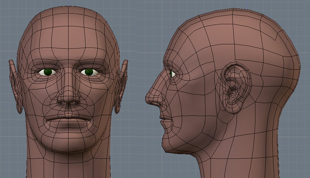 Создать лицо человека 3d. Моделирование головы в блендер. Моделирование лица в Blender. Моделирование головы в Blender. Анатомия человека Blender.