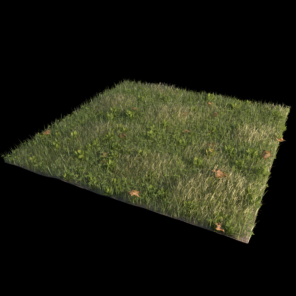 3d field. Terrain для 3д рад. Текстура травы для Godot. Зд модель почвы. Terrain grass Coloring.