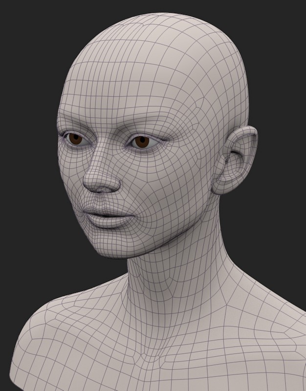 Building Audrey Hepburn.... Works in Progress Blender Artists Community