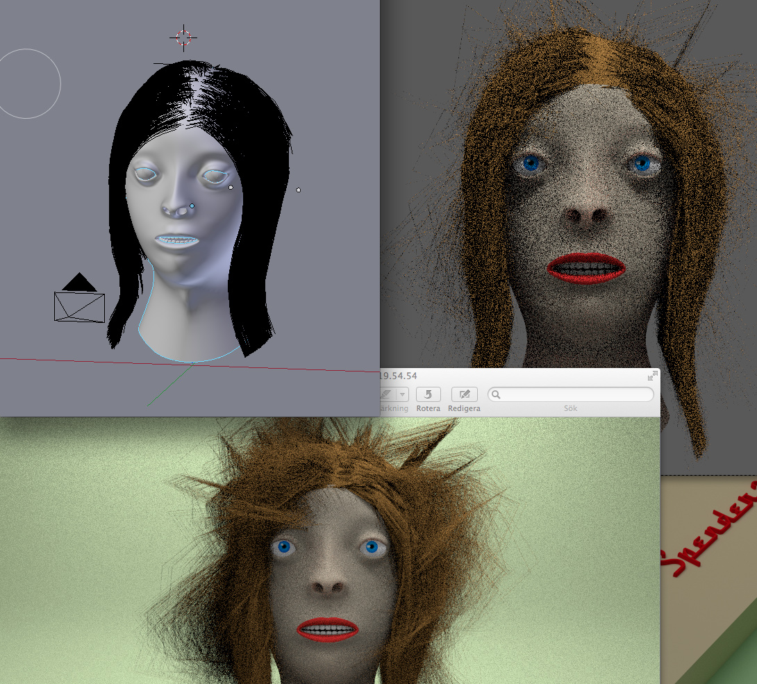 Why no hair ? - Particles and Physics Simulations - Blender Artists ...