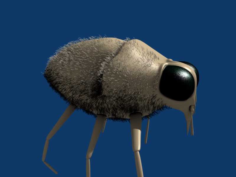 Strands don't cast shadows? - Compositing and Post Processing - Blender ...