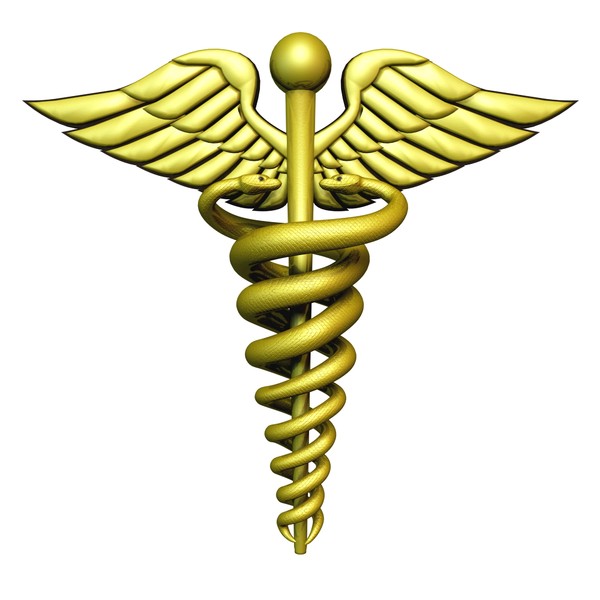 Modeling the Caduceus. Require some advice. - Modeling - Blender ...