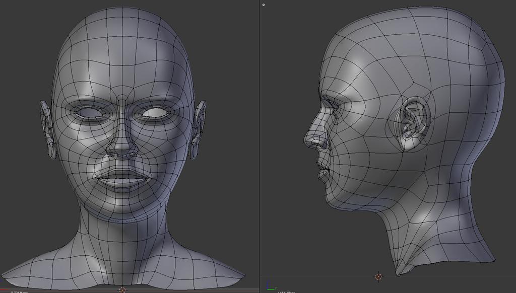 Modelling exercise (female face) - Works in Progress - Blender Artists ...