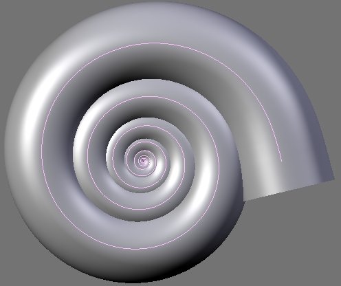 How can I model a shell? Modeling Blender Artists Community