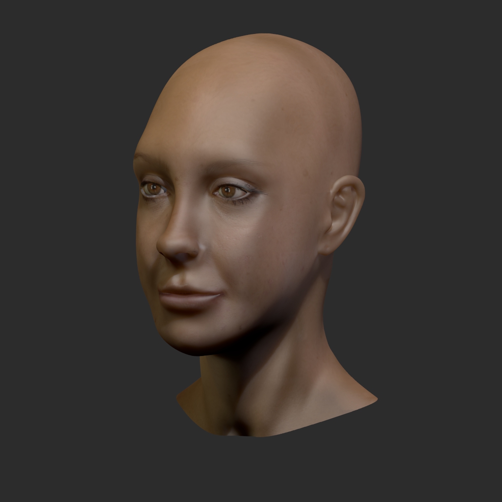 Modeling a female head following Blender Cookie's tutorial - Works in ...