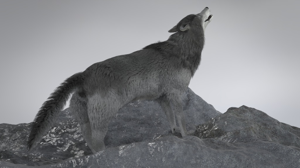The Lone Wolf - Finished Projects - Blender Artists Community