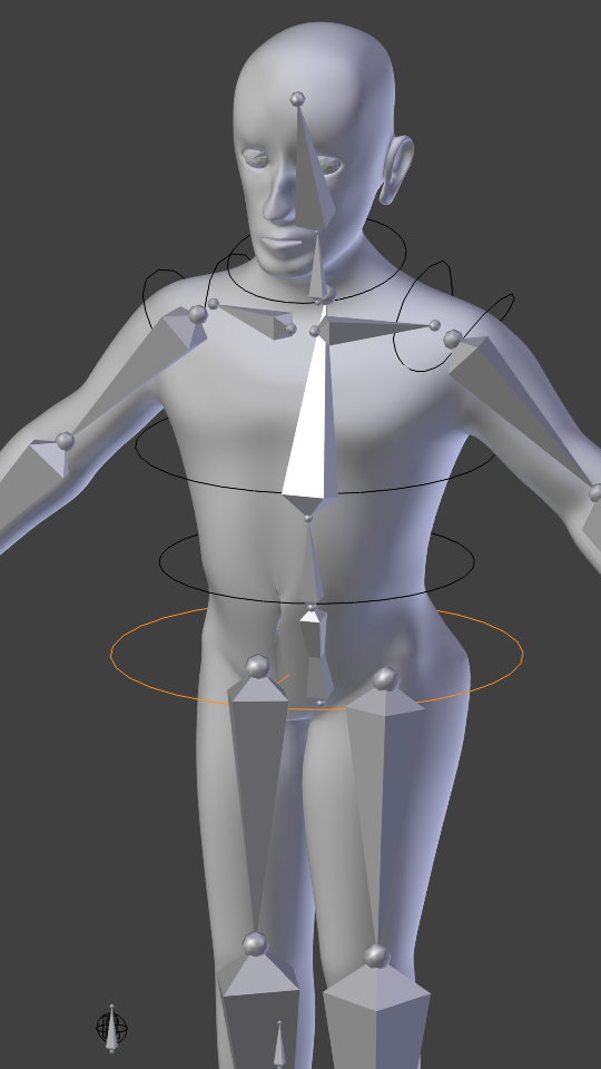 Bone Shape Problem Rotation - Animation And Rigging - Blender Artists ...