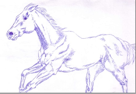 horse_6