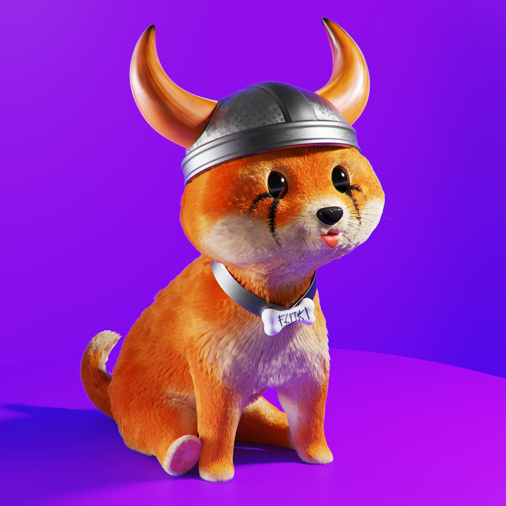 Floki Inu Community Token BSC Launch Collection - Finished Projects ...