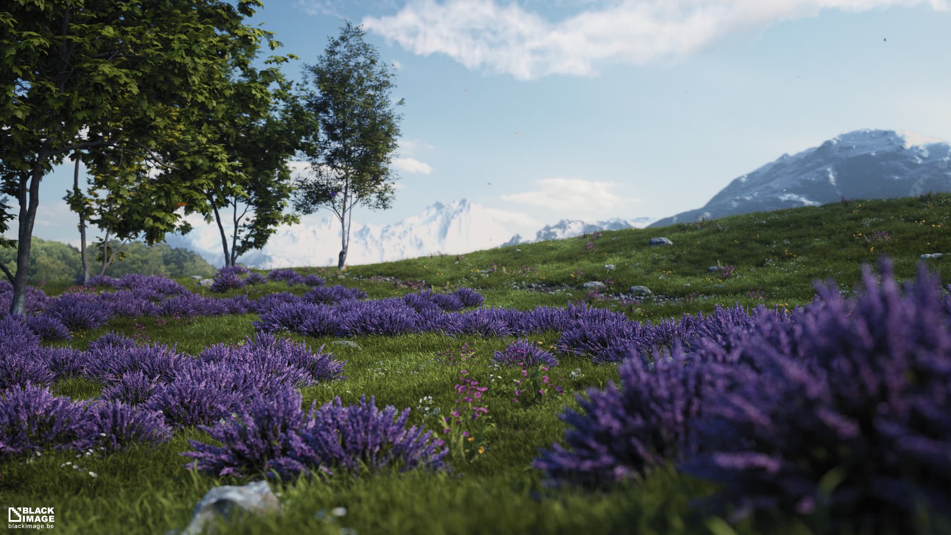 Hill House - Finished Projects - Blender Artists Community