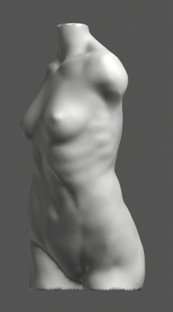 torso