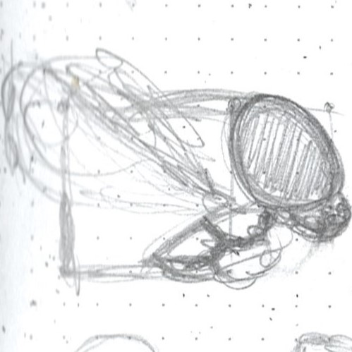 Monarch Rough Sketch 02
