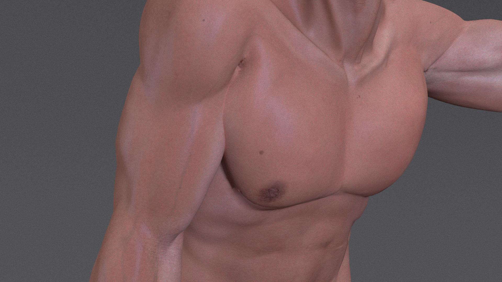 gennemse slap af antyder Physically based Muscle Simulation - Works in Progress - Blender Artists  Community