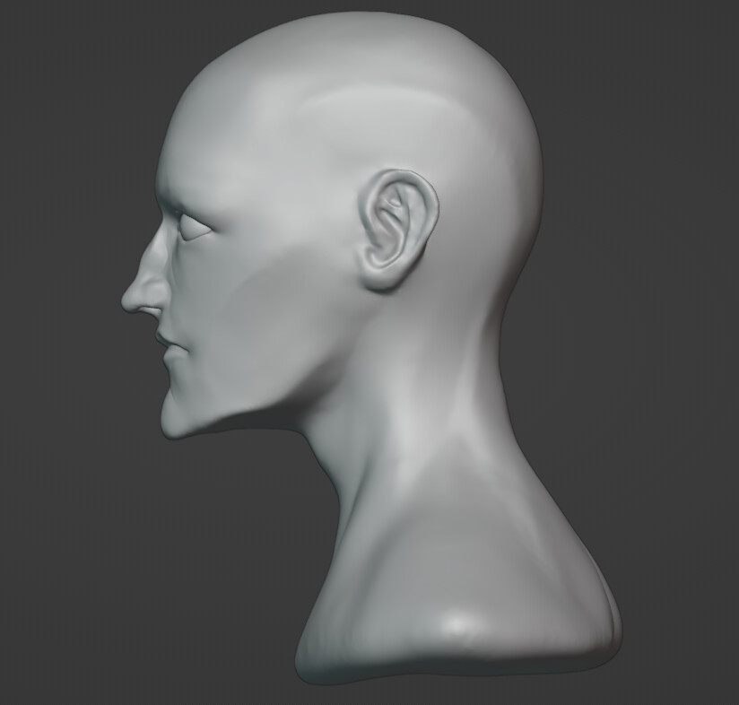 Character Sculpting Help - Focused Critiques - Blender Artists Community