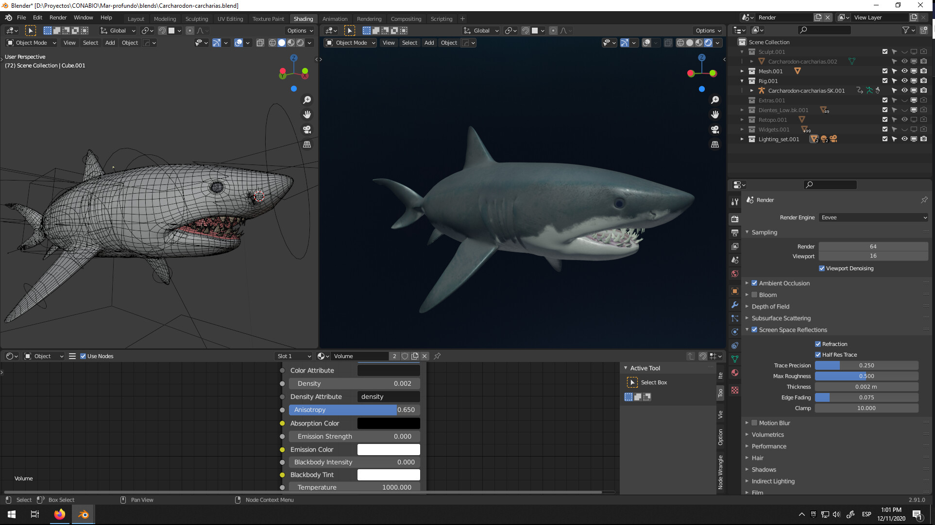 Great White Shark - Modeling - Blender Artists Community