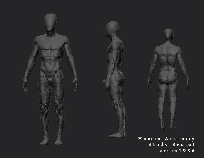 Learning Anatomy and Blender Critiques - Blender Artists Community