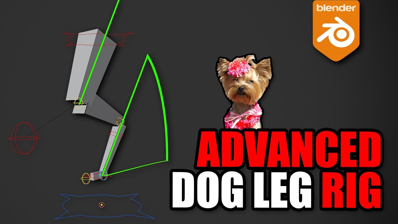 Legs Rigs Controls Need help with a digitigrade leg rig - Animation and Rigging - Blender ...