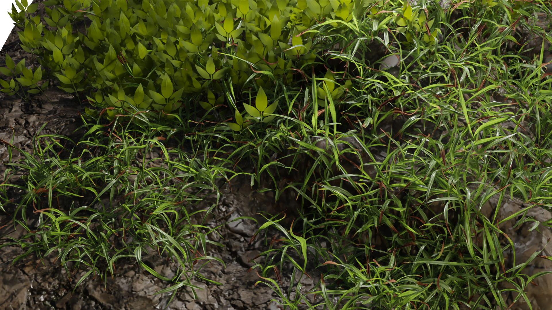 Foliage showcase - Finished Projects - Blender Artists Community