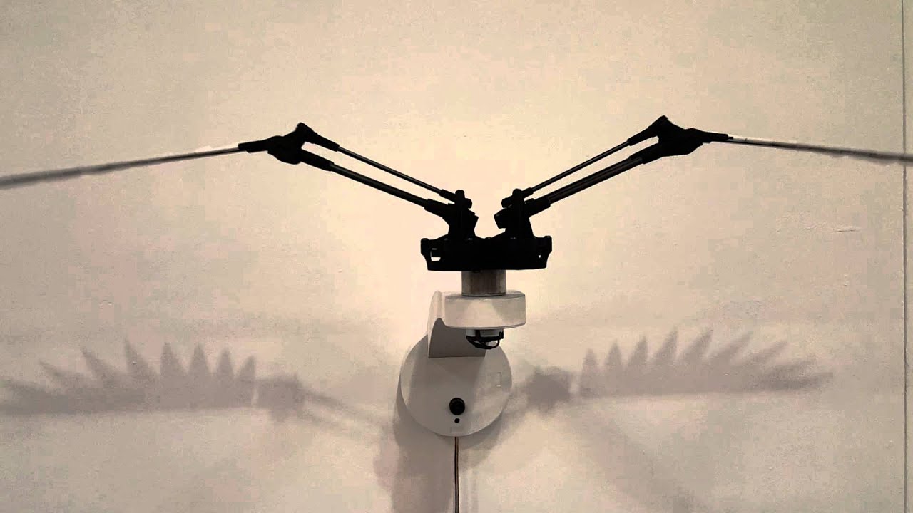 Can someone who knows about rigging please look at this rig - Animation ...