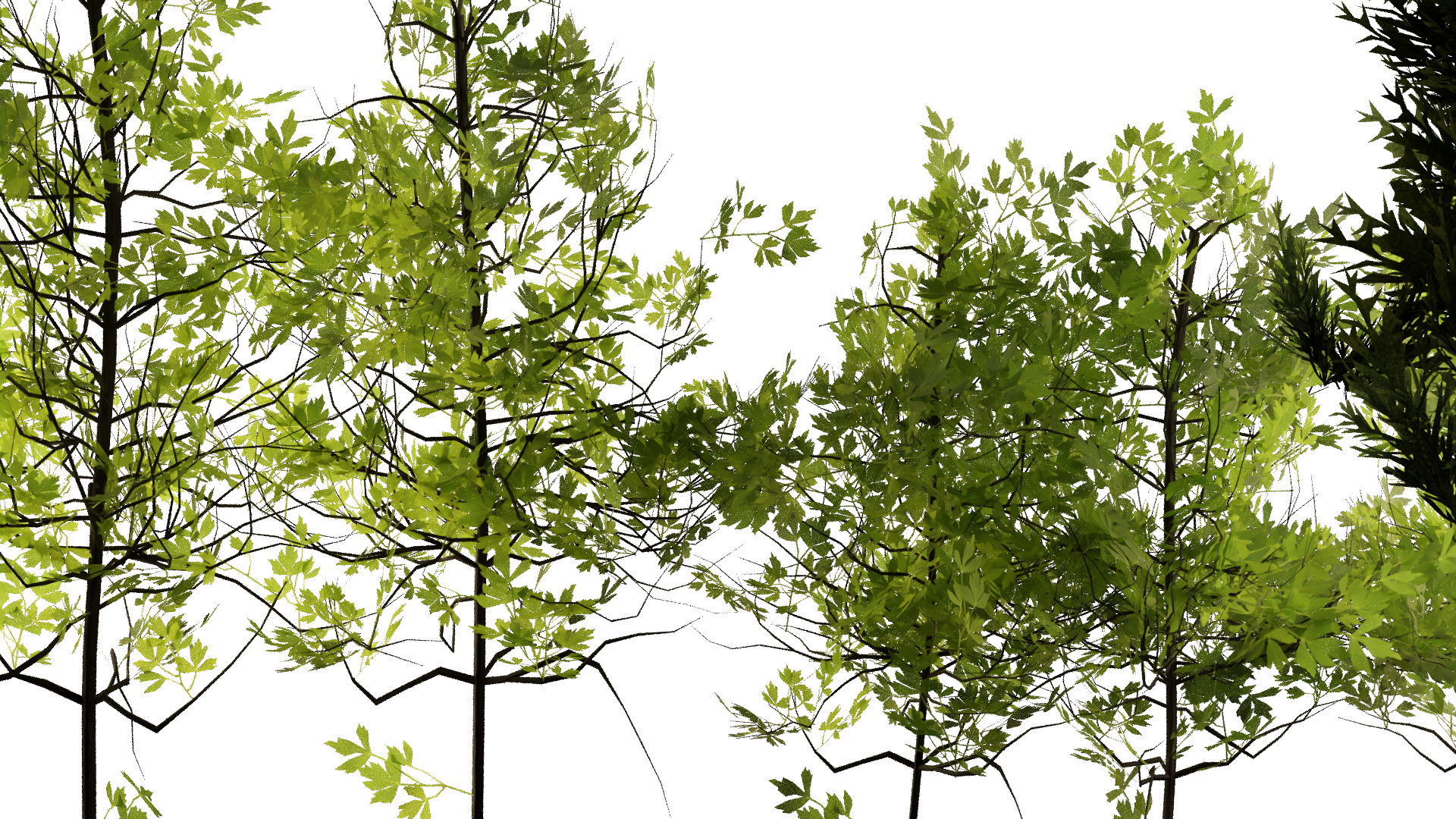 Foliage showcase - Finished Projects - Blender Artists Community