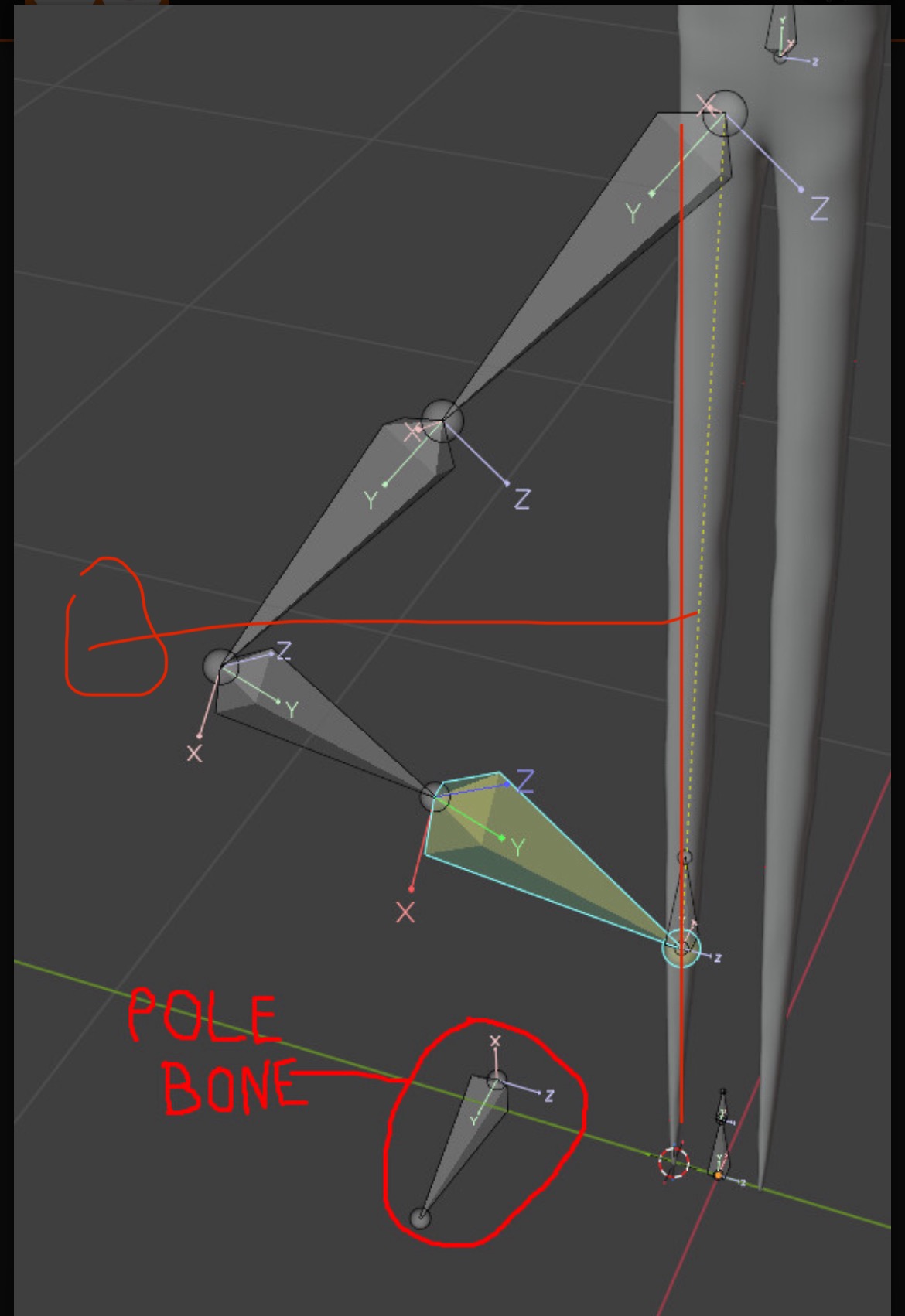 IK is facing a pole target bone at a weird angle - Animation and ...