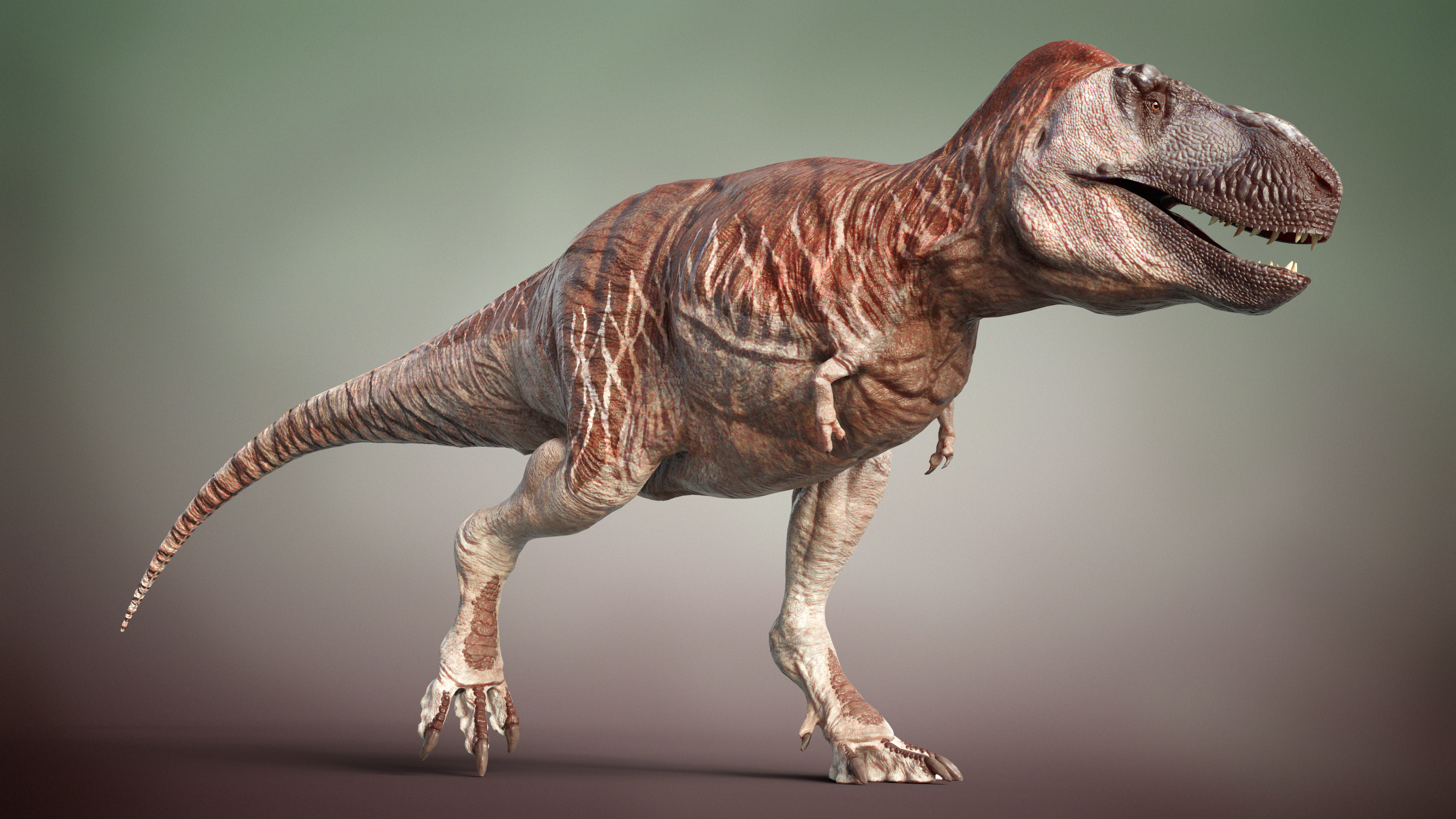 Tyrannosaurus rex Life Reconstruction - Finished Projects - Blender Artists  Community