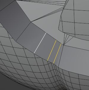 loops