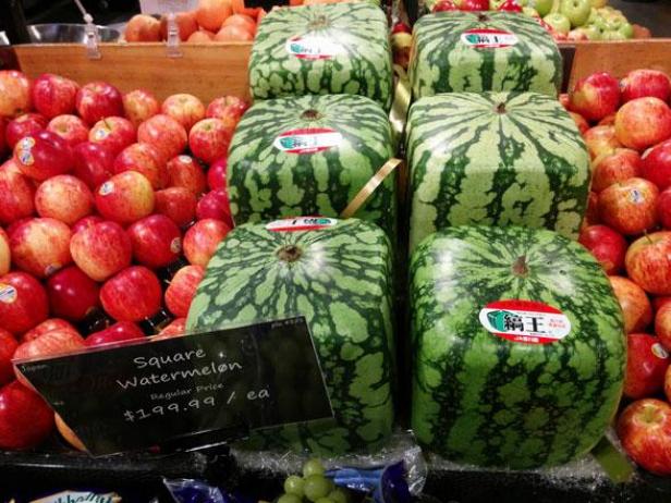 real cube watermelons