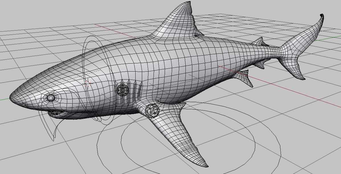 Shark - Works in Progress - Blender Artists Community