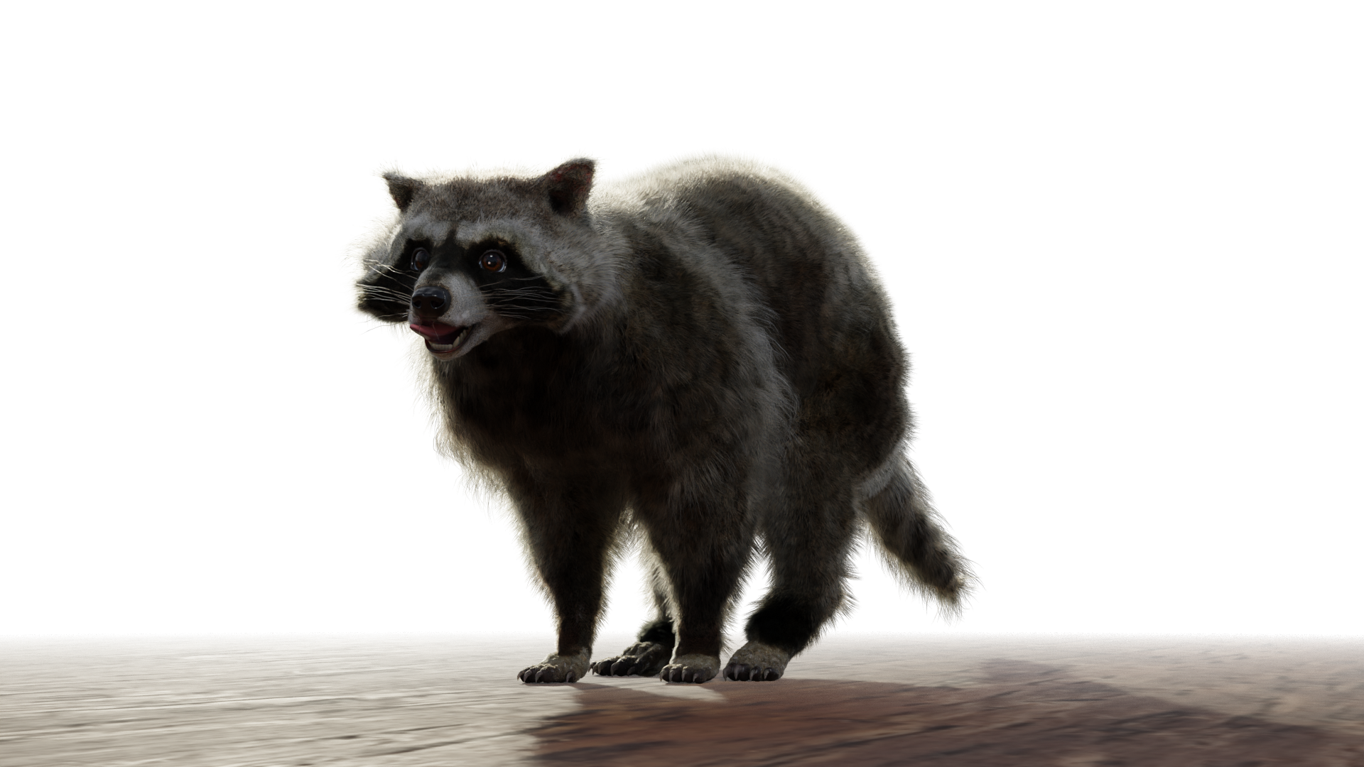 Raccoon passing by - Finished Projects - Blender Artists Community