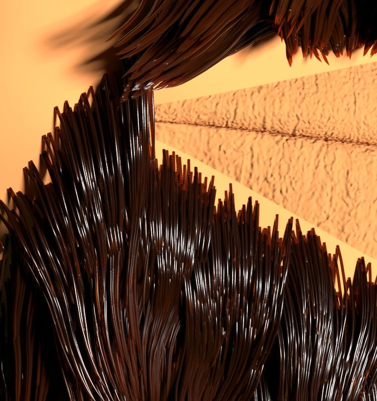 Wet hairs - Particles and Physics Simulations - Blender Artists Community