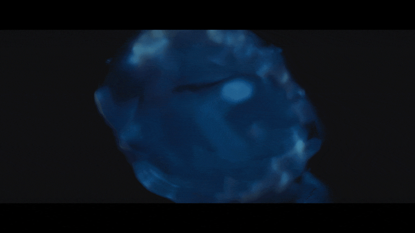 gif4-min