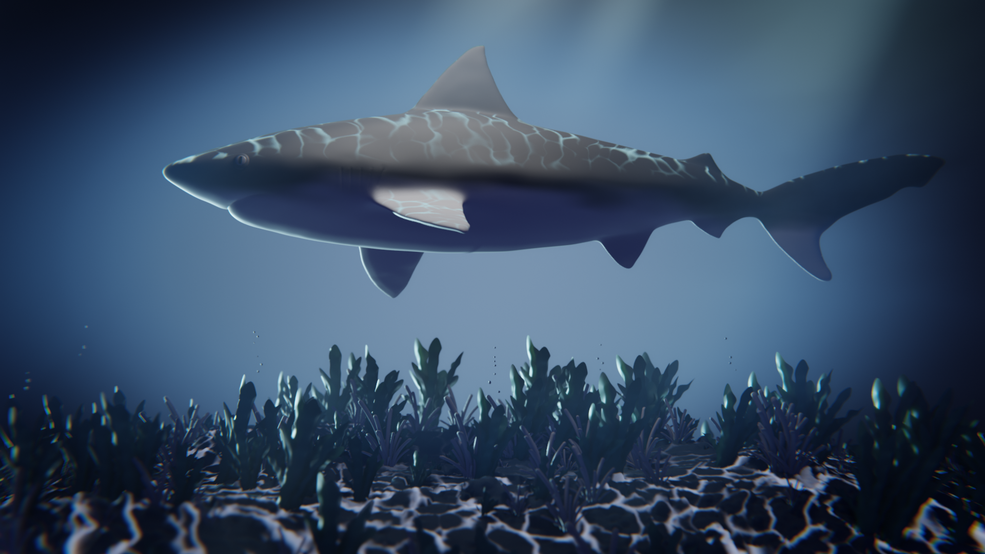 Shark - Finished Projects - Blender Artists Community