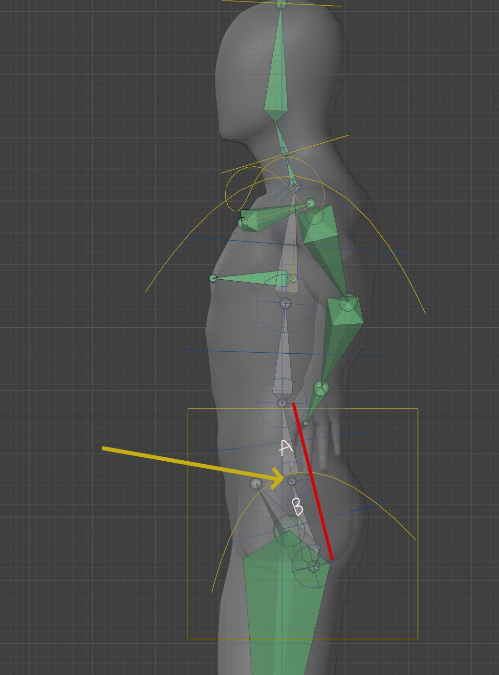 Bone Structure Rigging Beginner's questions about rigging (Rigify) - Page 2 - Animation and ...