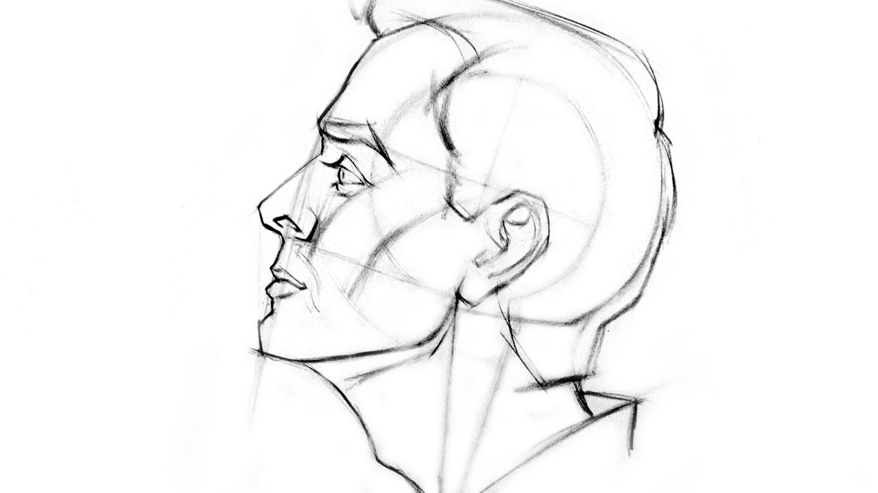 human face side view