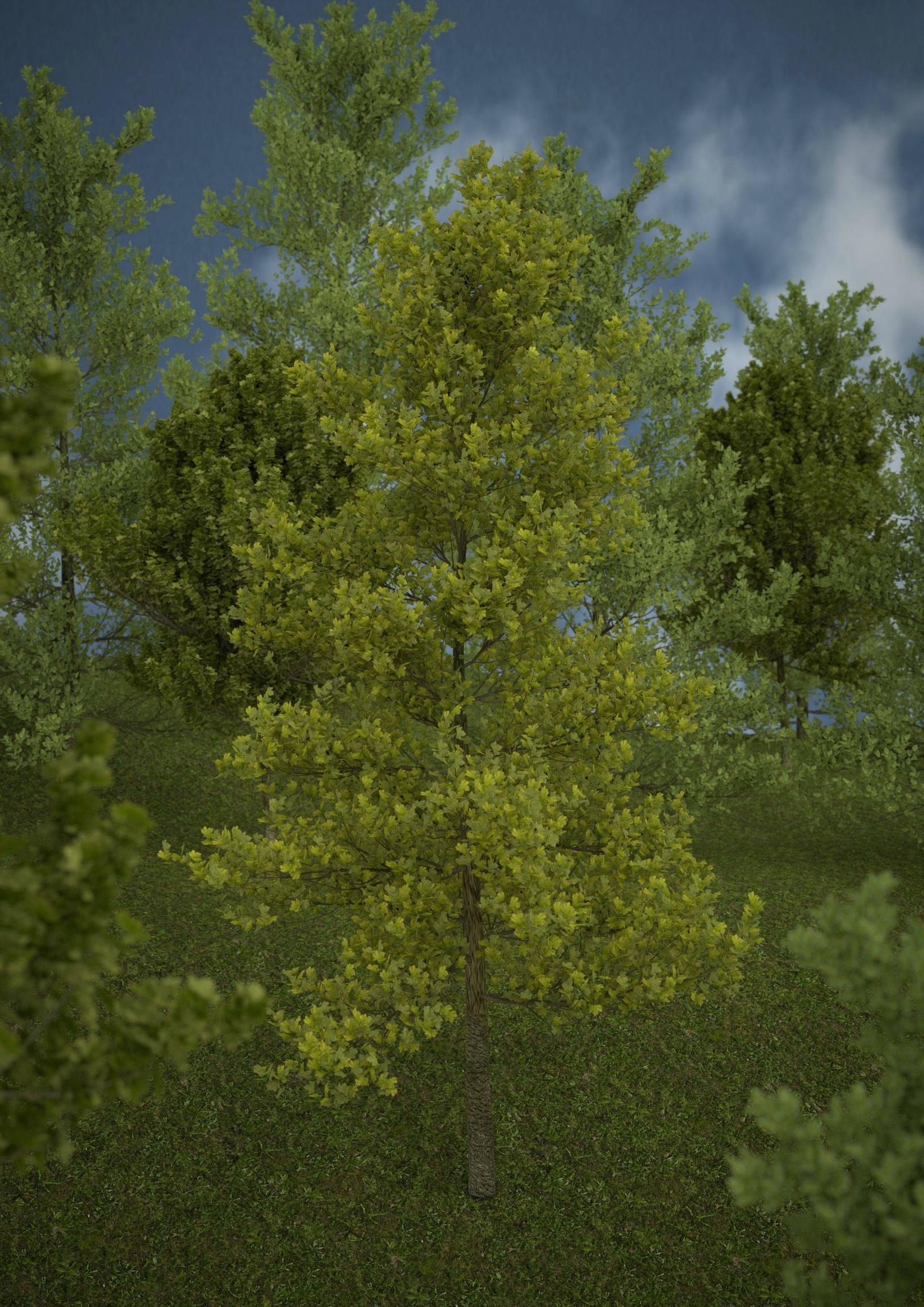 tree - Finished Projects - Blender Artists Community