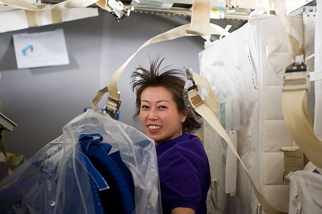 640px-S131E009464_-STS-131-Yamazaki_with_Stowage_in_MPLM-DPLA-_7ccad884b7ec7c63e62455fa13bea368