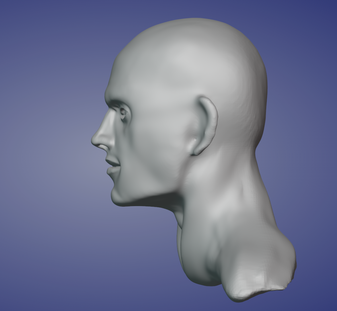 Sculpting human face - Works in Progress - Blender Artists Community